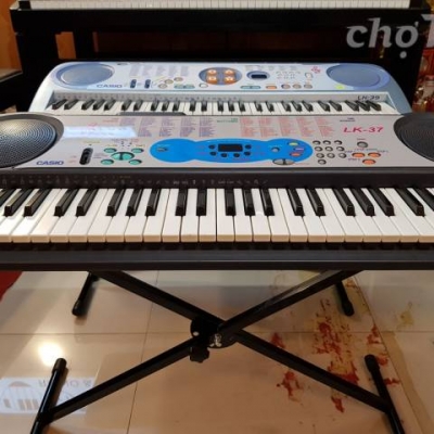 Organ Casio LK37