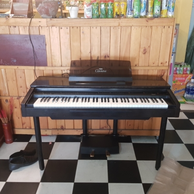 Yamaha cvp7