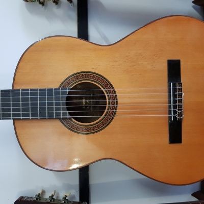 Yamaha g90A top soiled