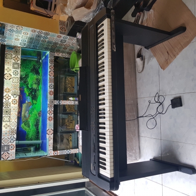 Casio cps50s Casio cps50s