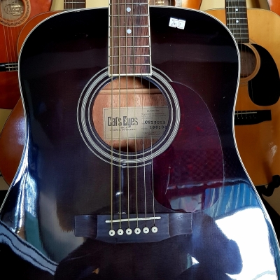 CatsEyes CE200 CatsEyes CE200