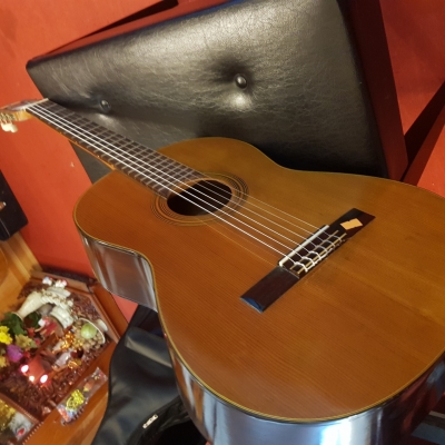 Classic Zenon Gut Classic Zenon Gut