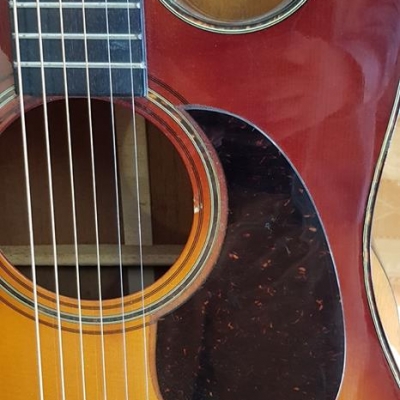 Đàn Nhật Khuyết hiếm Đàn Nhật Khuyết hiếm