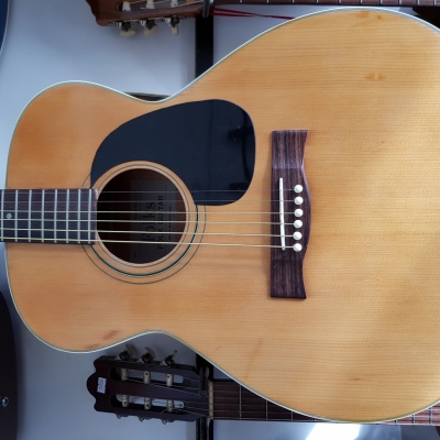 Folk Guitar Folk Guitar