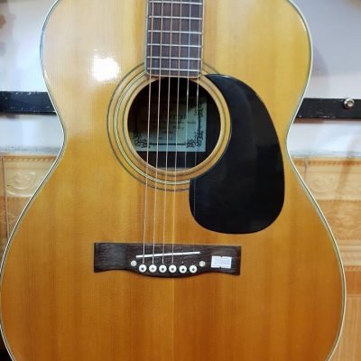 Fuji F200 lưng xẻ 3 Fuji F200 lưng xẻ 3