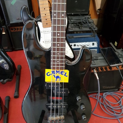 Guitar Bass Fernandes Guitar Bass Fernandes