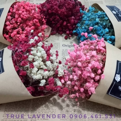 Khách hàng ủng hộ guitar Khách hàng ủng hộ guitar