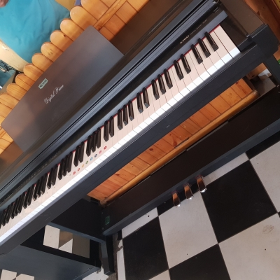 Kawai pw300 Kawai pw300