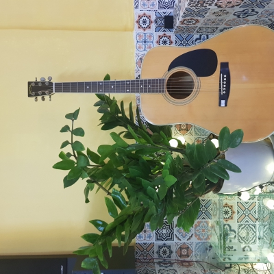 Morales bird Morales bird