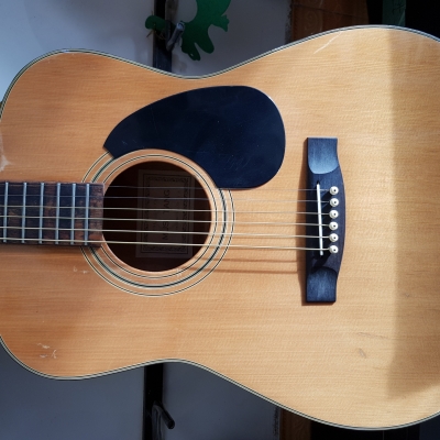 Mustang Japan Mustang Japan