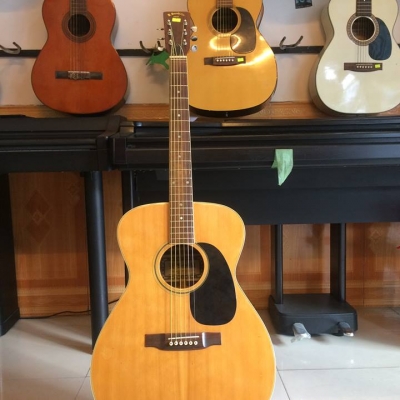 Suzuki F180 Suzuki F180