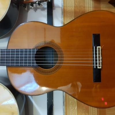 Yamaha C320 Yamaha C320