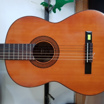 Yamaha G100 Yamaha G100