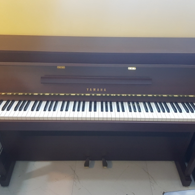 Yamaha giả cơ Dup5 Yamaha giả cơ Dup5